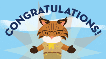 Way To Go Cat GIF by AppExchange
