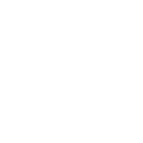 Photography Camera Sticker by the Syndicate