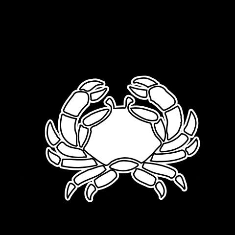 dgkeybiscayne GIF