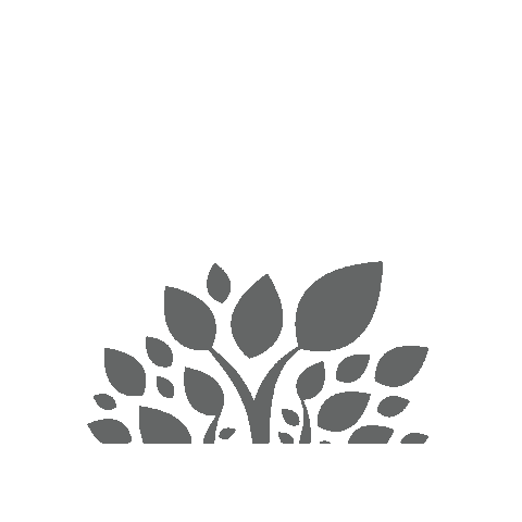 Universidad de la ciudad Sticker