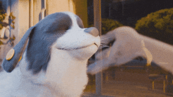 Excited Bog GIF by Bank Of Georgia