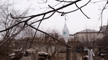 GiveInternet.org GIF