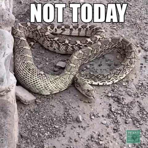 TexasParksAndWildlife nope snake satan not today GIF