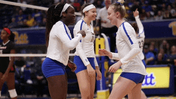 Celebrate Ncaa Volleyball GIF by Pitt Panthers