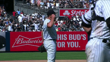 Yankees GIF