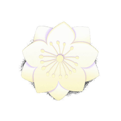 Bashkia Tirane Sticker