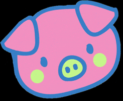 Maz Visual GIF
