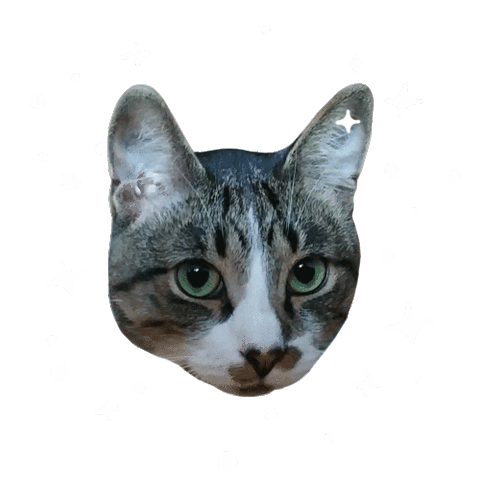 Berlinthecat Sticker by mynameisnastia