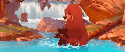 Image result for brother bear gif