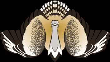 Ifhc GIF by ِِActionUAE