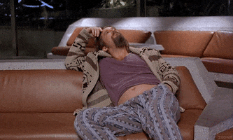 The Dude GIF by memecandy