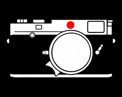 LeicaCameraMalaysia camera leica reddot leicamalaysia GIF