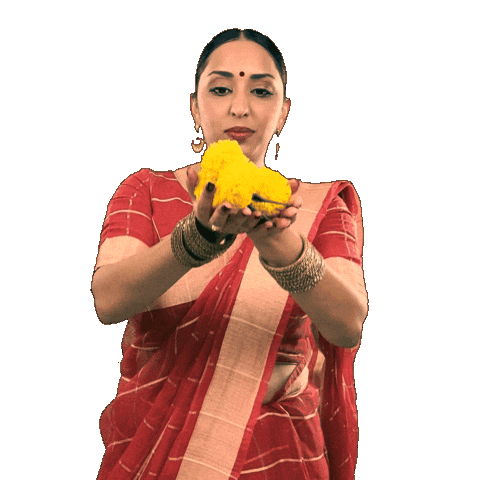 Festival Celebrate Sticker by trichak