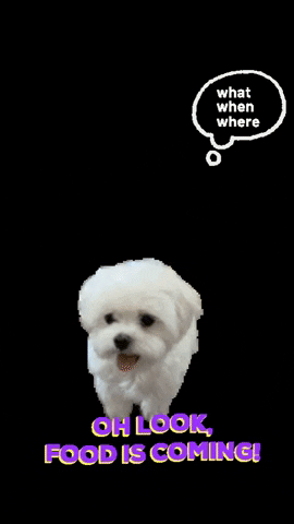 Hungry Dog GIF by valerie-grand