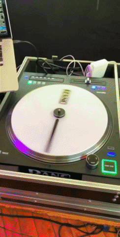 Rane Partycrew GIF