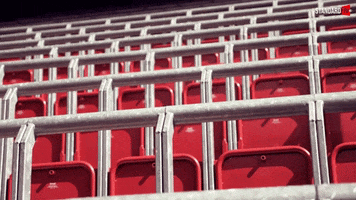 Stadium Seats GIF by Standard de Liège