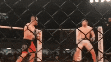 Knock Out Mma GIF by Caged Steel