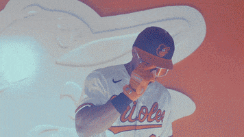 Serious Anthony Santander GIF by Baltimore Orioles