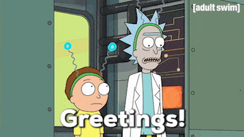 Season 2 Episode 6 GIF by Rick and Morty