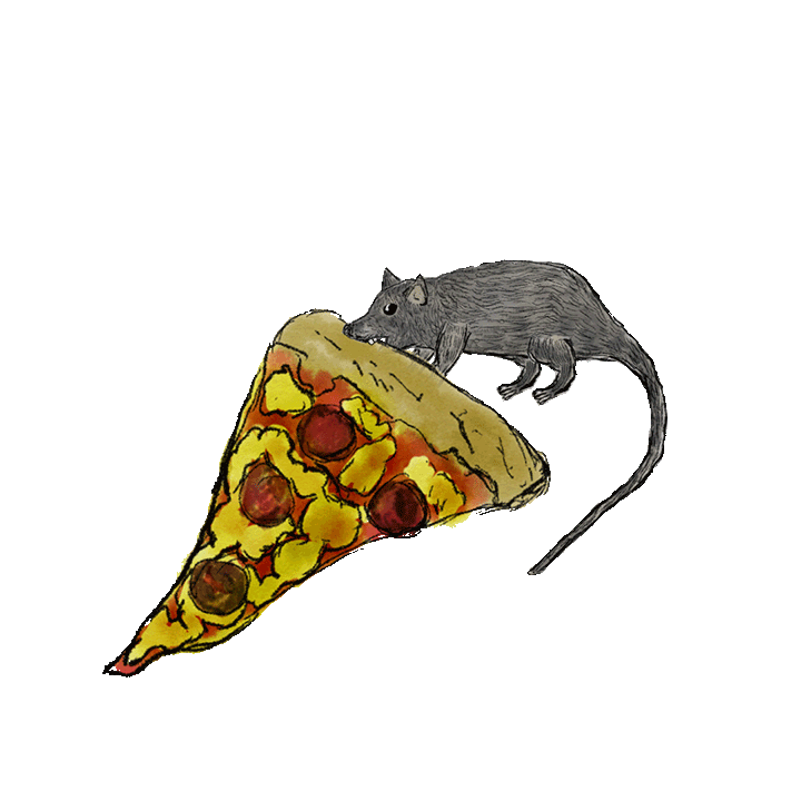 pizza-nyc-sticker-by-hitrecord-for-ios-android-giphy