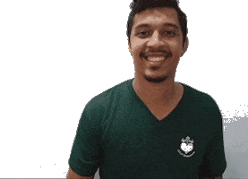 Grupo Primavera Sticker