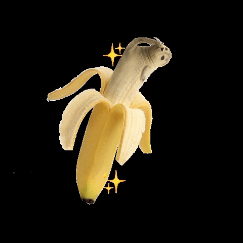 MyHits GIF
