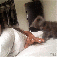 https://media1.giphy.com/media/ZbftHQFc3J9KM/200w.gif#2