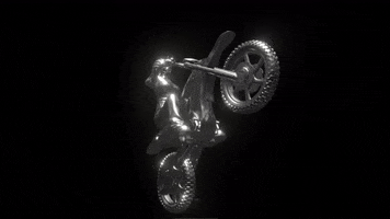 Cuteshitkids nft bike statue supermoto GIF