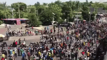 haiti protests GIF