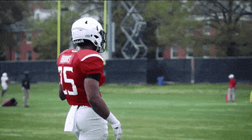 college football dancing GIF by Maryland Terrapins