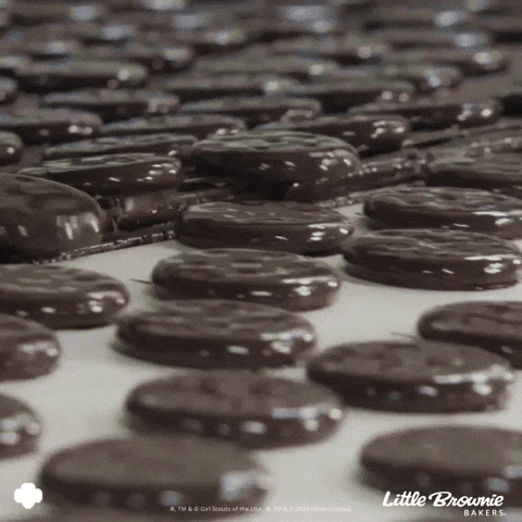 GIF by Little Brownie Bakers