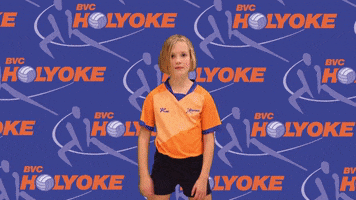 Volleyball GIF by BVC Holyoke