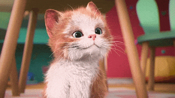 Hungry Cat GIF by MightyMike