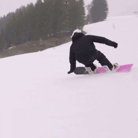 NideckerSnowboards hand snowboard snowboarding carving GIF