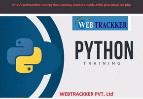 Python Training In Noida GIF