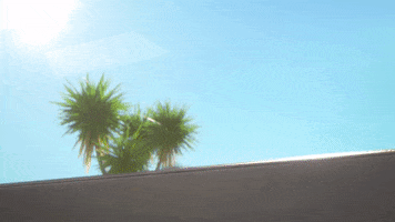 Fun What GIF by TeamTO