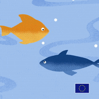 Sea Action Gif By World Ocean Day Find Share On Giphy Sea Action Gif By World Ocean Day Find Share On Giphy