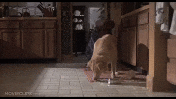 200.gif?cid=f0bdee70g2ph3hakmfev44nt1qzuy1m24qzetmsc3doomziz&rid=200.gif&ct=g