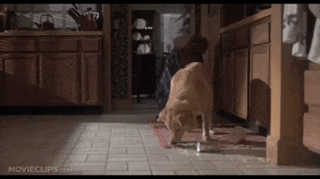 200.gif?cid=f0bdee70g2ph3hakmfev44nt1qzuy1m24qzetmsc3doomziz&rid=200.gif&ct=g