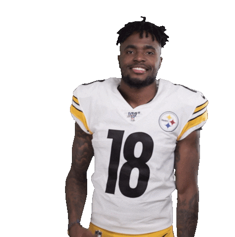 diontae johnson jersey