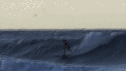 Surfing GIF - Find & Share on GIPHY