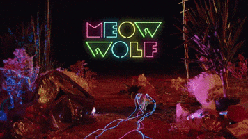 meowwolf vegas las vegas meow wolf meowwolf GIF