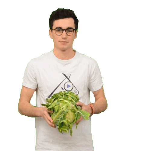 Nowkeyofficiel Choufleur Sticker by Nowkey