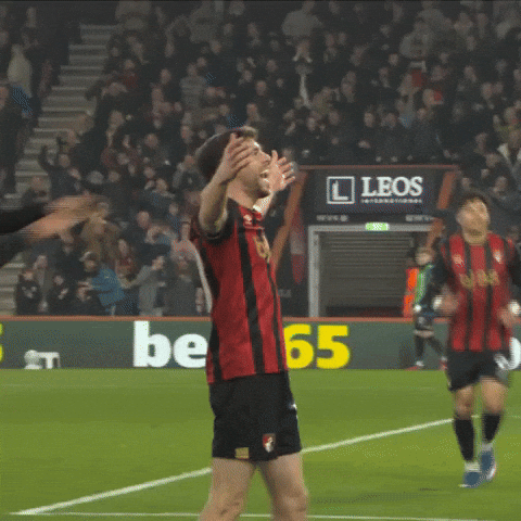 Happy Premier League GIF by AFC Bournemouth