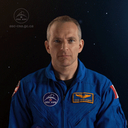 agencespatialecanadienne wow cerveau astronaute david saint-jacques GIF