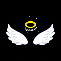 Angel Wings GIF by Angels Skates