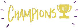 Winning The Champions Sticker by Bengaluru Raptors
