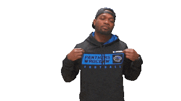 Panthers Wroclove Sticker by PanthersWroclaw