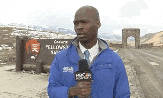 TV gif. NBC Montana reporter standing in front of a Yellowstone Park sign, looking with great suspicion to his right and then walking off-camera.