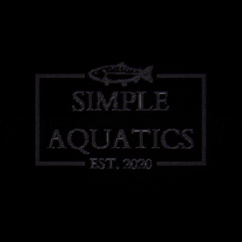 Simple Aquatics GIF